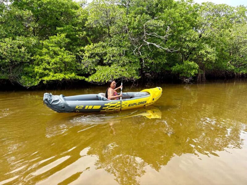 Fort Lauderdale: Kayak & Paddleboard Mangroves Eco Adventure - Who Will Love This Tour?