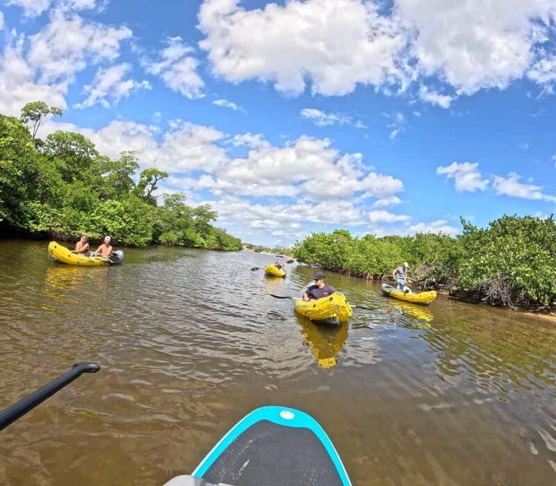 Fort Lauderdale: Kayak & Paddleboard Mangroves Eco Adventure - Final Thoughts