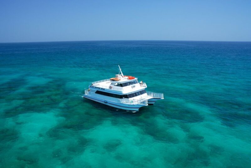 Fort Lauderdale: Key West Day Trip with Optional Activities - Arriving in Key West: Free to Explore