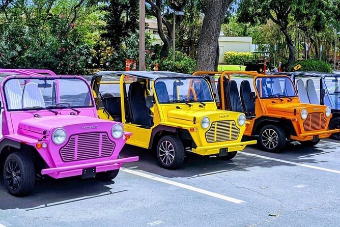 Fort Lauderdale Moke City Tour Review - Tour Overview and Pricing