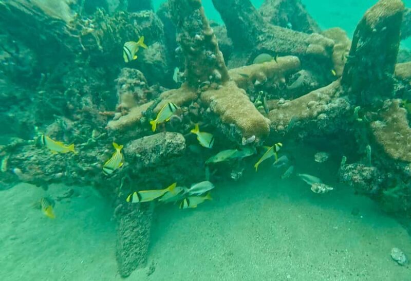 Fort Lauderdale: Ocean Reef Snorkel Tour w/ Snacks & Drinks - An Honest Look at the Snorkel Tour