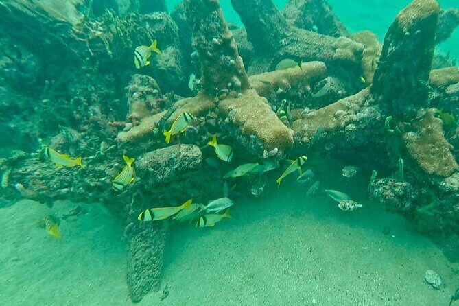 Fort Lauderdale: Ocean Reef Snorkeling Tour w/ Snacks & Drinks - Key Points