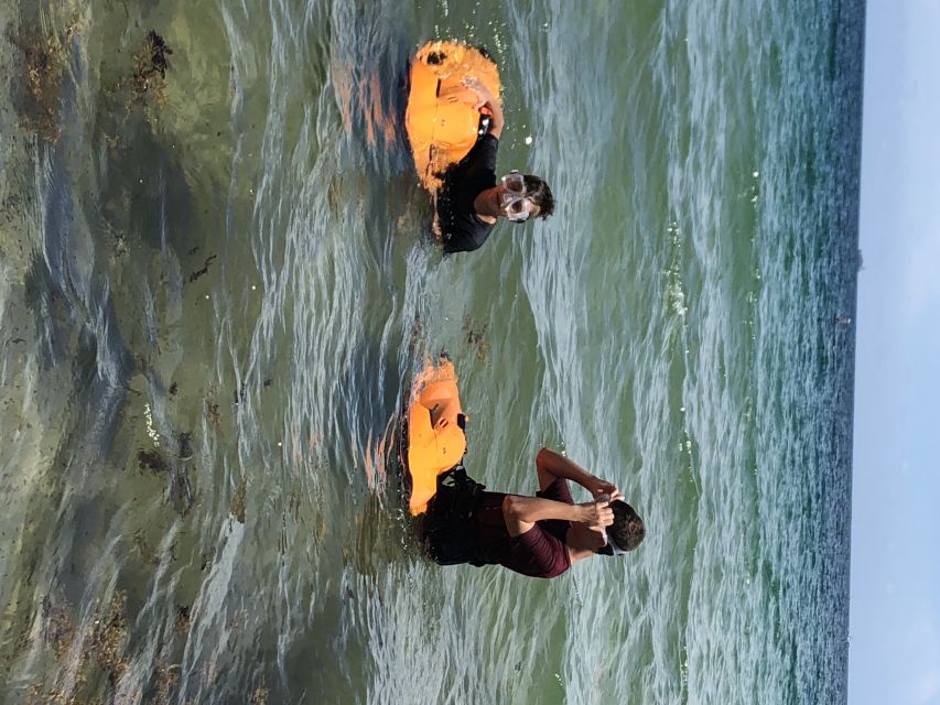 Fort Lauderdale: Ultimate SEABOB Snorkel Rental & Excursion - Seeing Marine Life Up Close