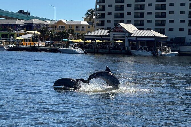 Fort Myers Beach Dolphin and Eco Tours - Key Points