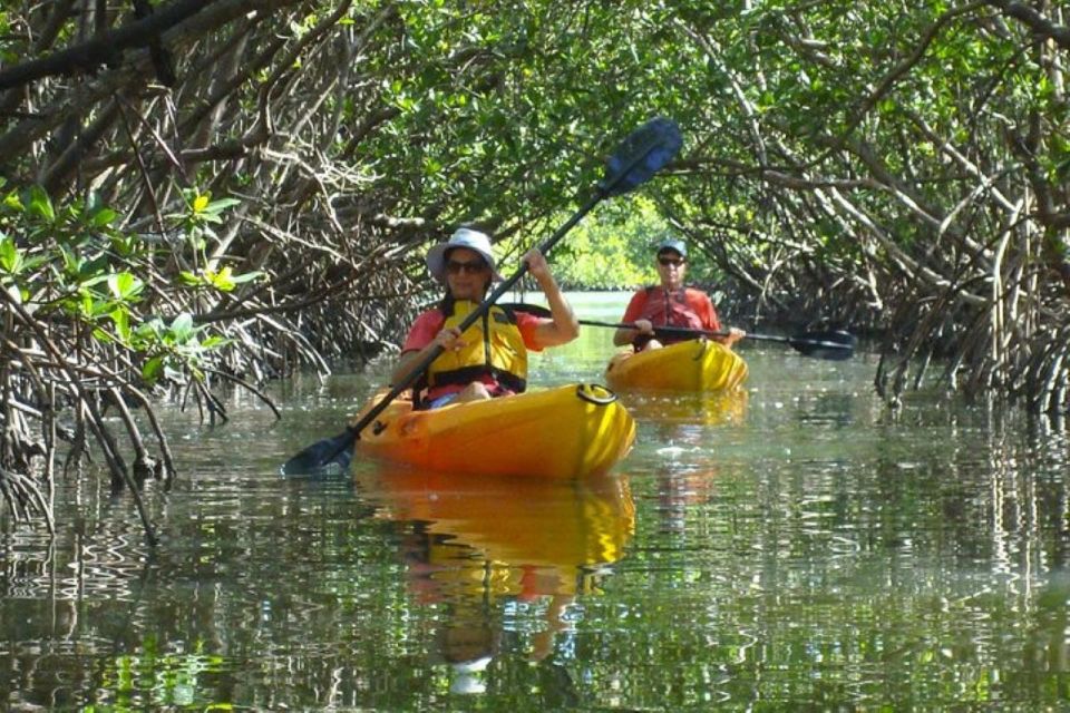 Fort Myers: Guided Kayak or SUP Tour in Pelican Bay - Key Points