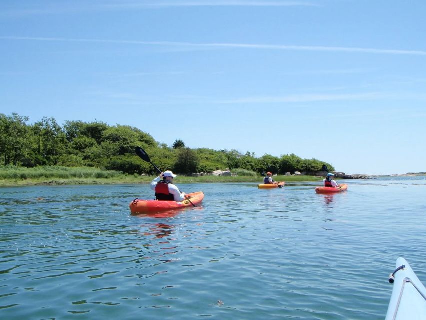 Fort Myers: Guided Kayak or SUP Tour in Pelican Bay - Pricing and Booking