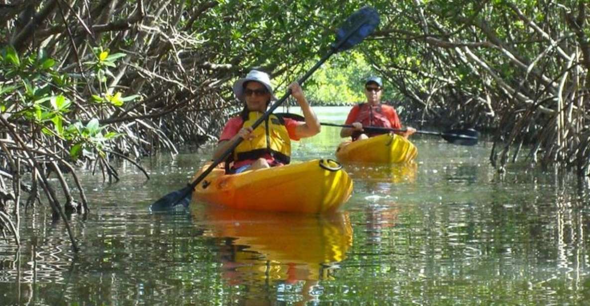 Fort Myers: Guided Kayak or SUP Tour in Pelican Bay - Exploring Calm Waterways