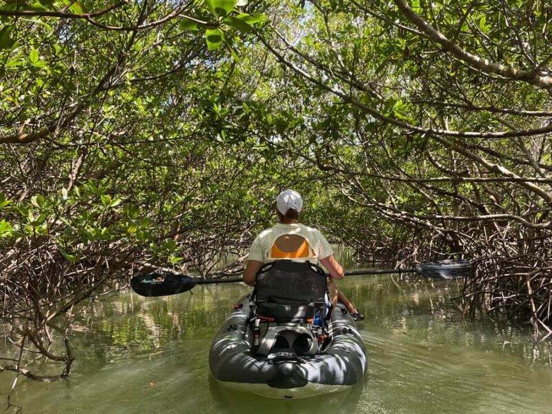 Fort Pierce: 2-Hour Prehistoric Preserve Kayak Tour - A Detailed Look at the Tour