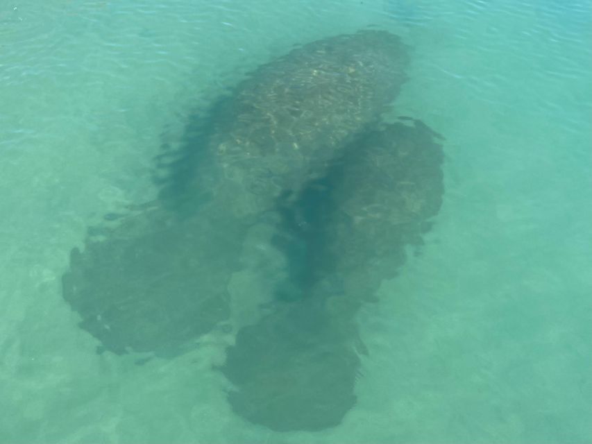 Fort Pierce: 8-Hr Jungle and Lagoon Passage to Ocean in FL - Exploring the Lagoon and Ocean