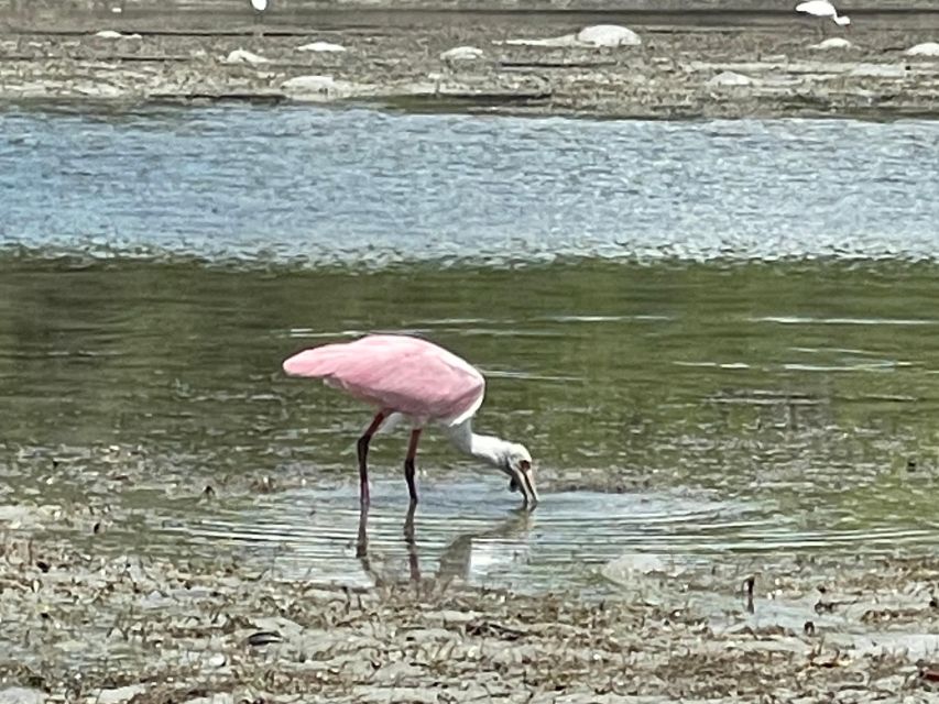Fort Pierce: 8-Hr Jungle and Lagoon Passage to Ocean in FL - Premium Equipment Provided