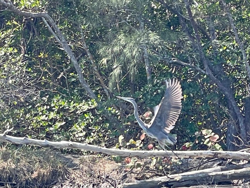Fort Pierce: 8-Hr Jungle and Lagoon Passage to Ocean in FL - Tour Group Size and Accessibility