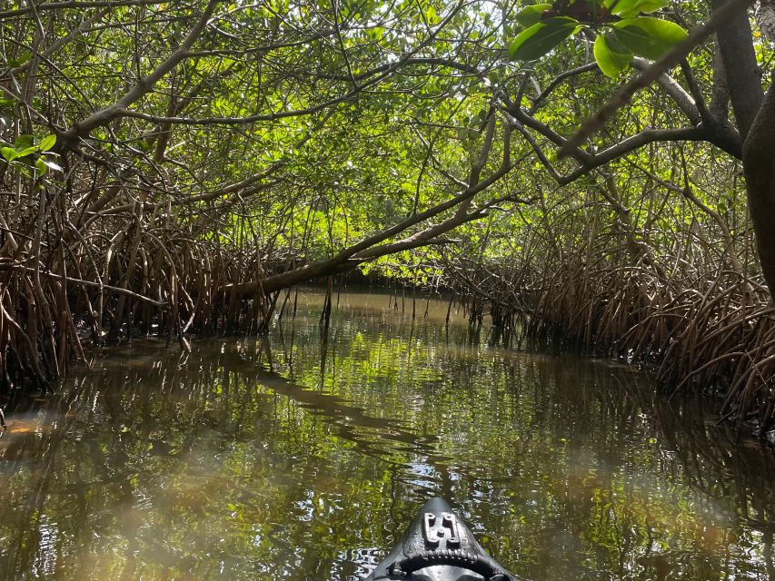 Fort Pierce: 8-Hr Jungle and Lagoon Passage to Ocean in FL - Health and Safety Considerations