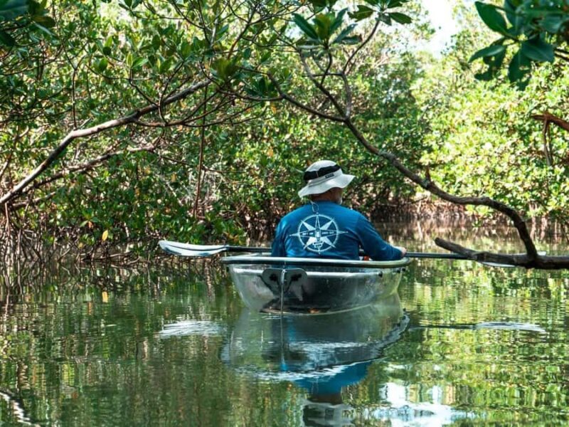 Fort Pierce: Clear Kayak Tour with Wildlife Sightings - The Equipment and Safety