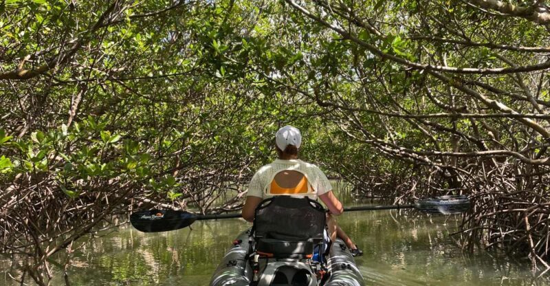 Fort Pierce: Prehistoric Preserve Kayak Tour - Who Will Love This Tour?