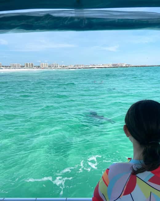 Fort Walton Beach: Emerald Coast 2-hour Dolphin Cruise - Final Thoughts: Is This Dolphin Cruise Worth It?