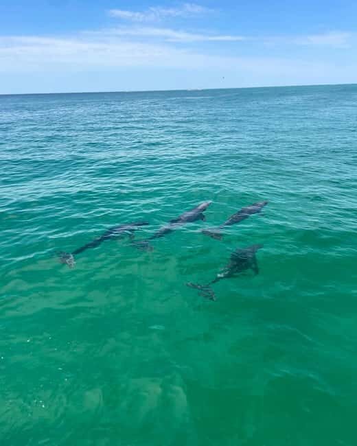 Fort Walton Beach: Emerald Coast 2-hour Dolphin Cruise - FAQs