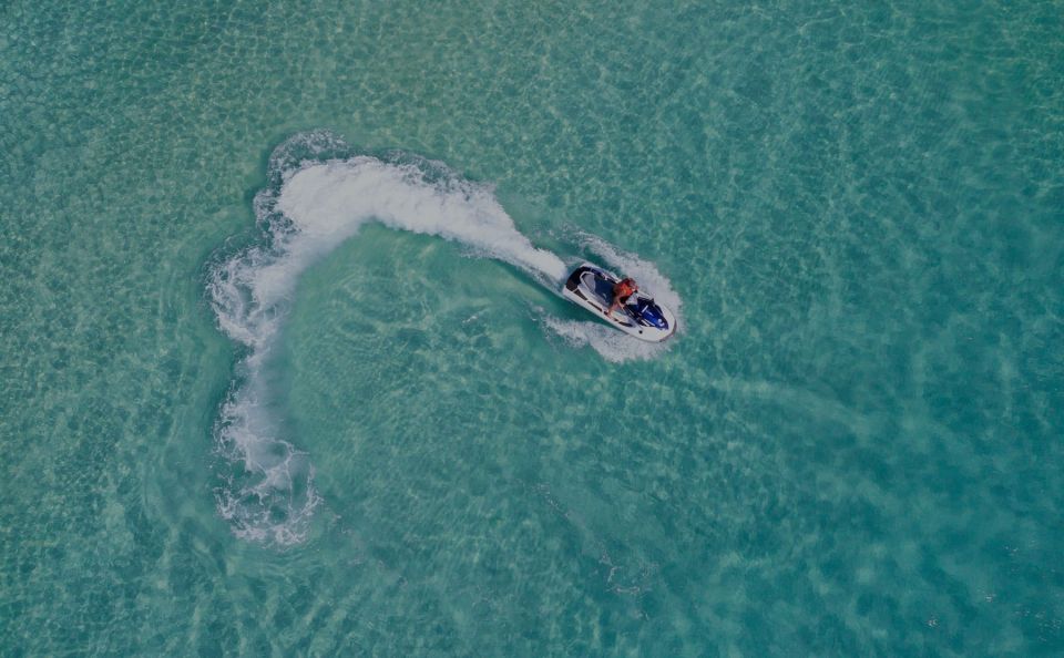 Fort Walton Beach: Explore Private Islands on Jet Skis - Wildlife Spotting