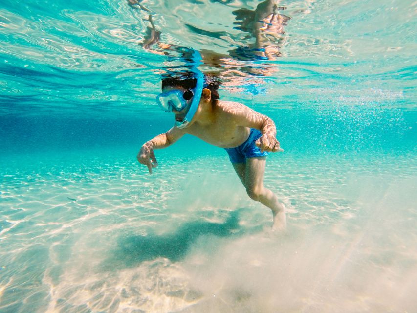 Fort Walton Beach: Morning Dolphin Cruise With Snorkel Stop - Highlights of the Cruise