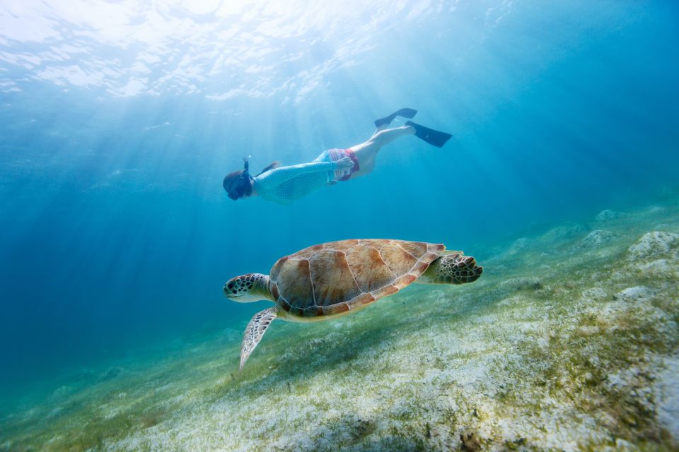 Fort Walton Beach: Morning Dolphin Cruise With Snorkel Stop - Inclusions and Pricing