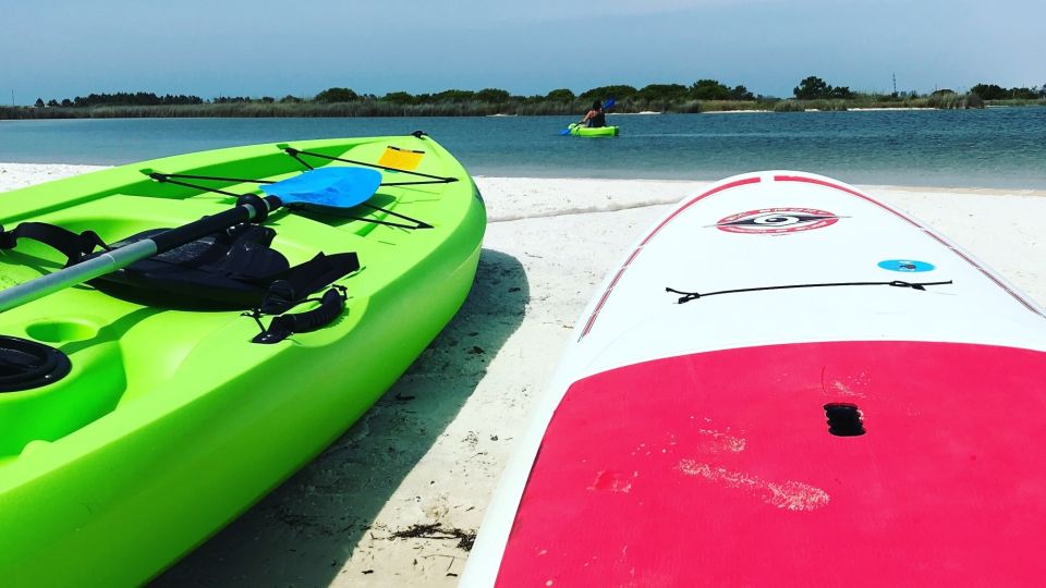 Fort Walton Beach: Tandem Kayak Rental - Activities and Highlights