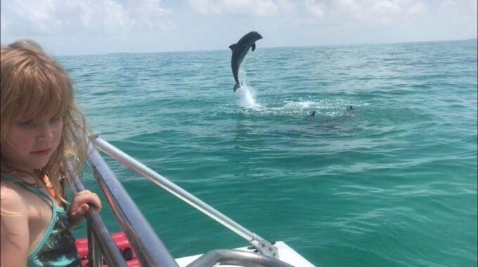 Fort Walton: Dolphin Discovery and Snorkeling Cruise - Booking and Availability