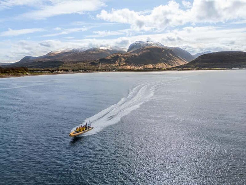 Fort William: 1hr Loch Safari Speedboat Tour - Key Points