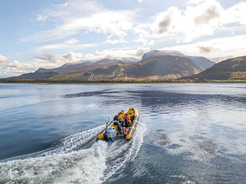 Fort William: 1hr Loch Safari Speedboat Tour - Who Will Love This Tour?