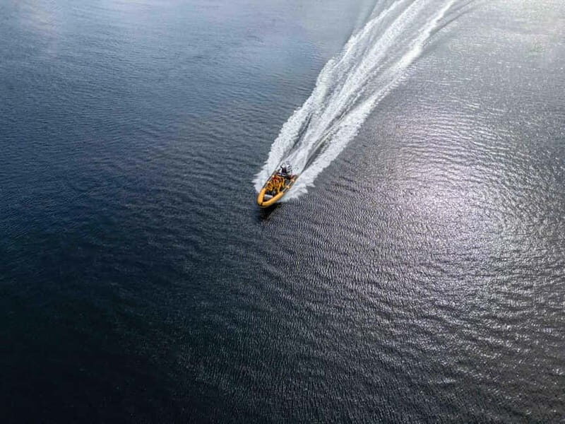 Fort William: 1hr Loch Safari Speedboat Tour - Practical Tips for Your Trip