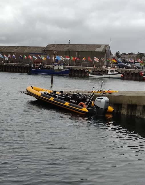 Fort William: 1hr Loch Safari Speedboat Tour - Final Thoughts