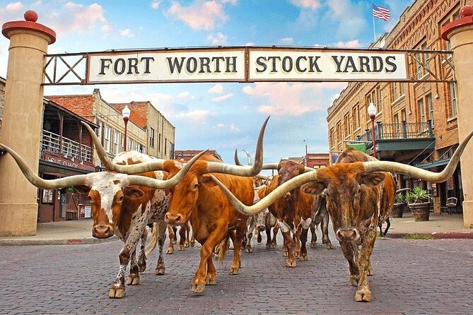 Fort Worth Highlights, Billy Bob's & John Wayne Review - Billy Bobs Texas Saloon