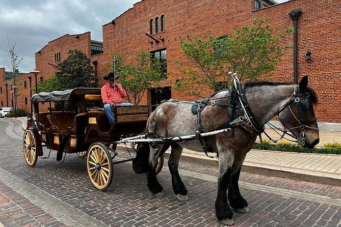 Fort Worth Highlights & Southfork Ranch Combo Tour Review - Exploring Southfork Ranch