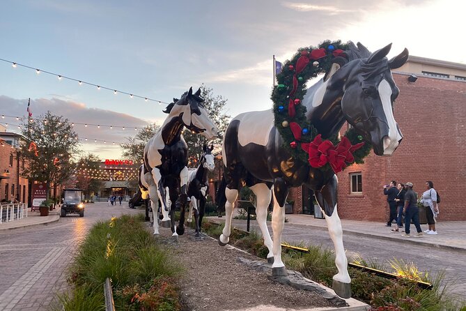 Fort Worth Highlights Tour - Captivating Landmarks