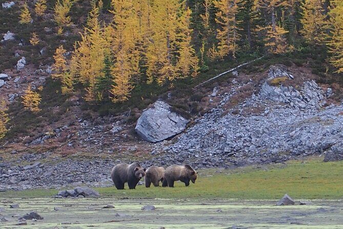 Fortress Backcountry Ridgeline Private Hiking Adventure - Final Thoughts