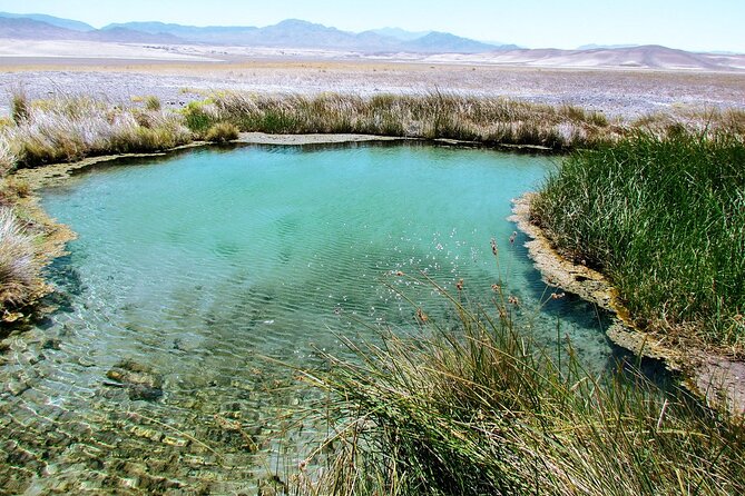 Four Hour Private Hidden Nevada Hot Springs Under the Stars - Exploring the Hidden Gem