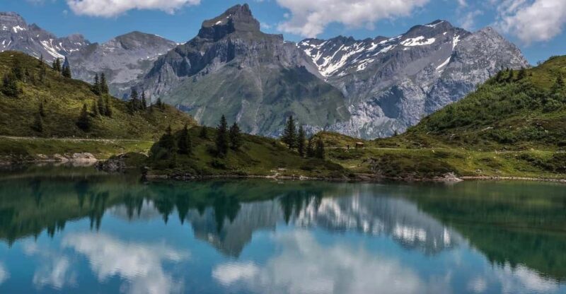 Four-Lake Hike in Engelberg: an Unforgettable Alpine Adventure - Local Flora and Fauna