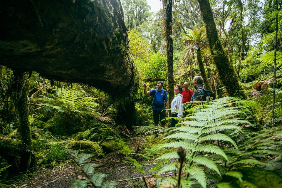 Fox Glacier: Half Day Walking & Nature Tour With Local Guide - Frequently Asked Questions
