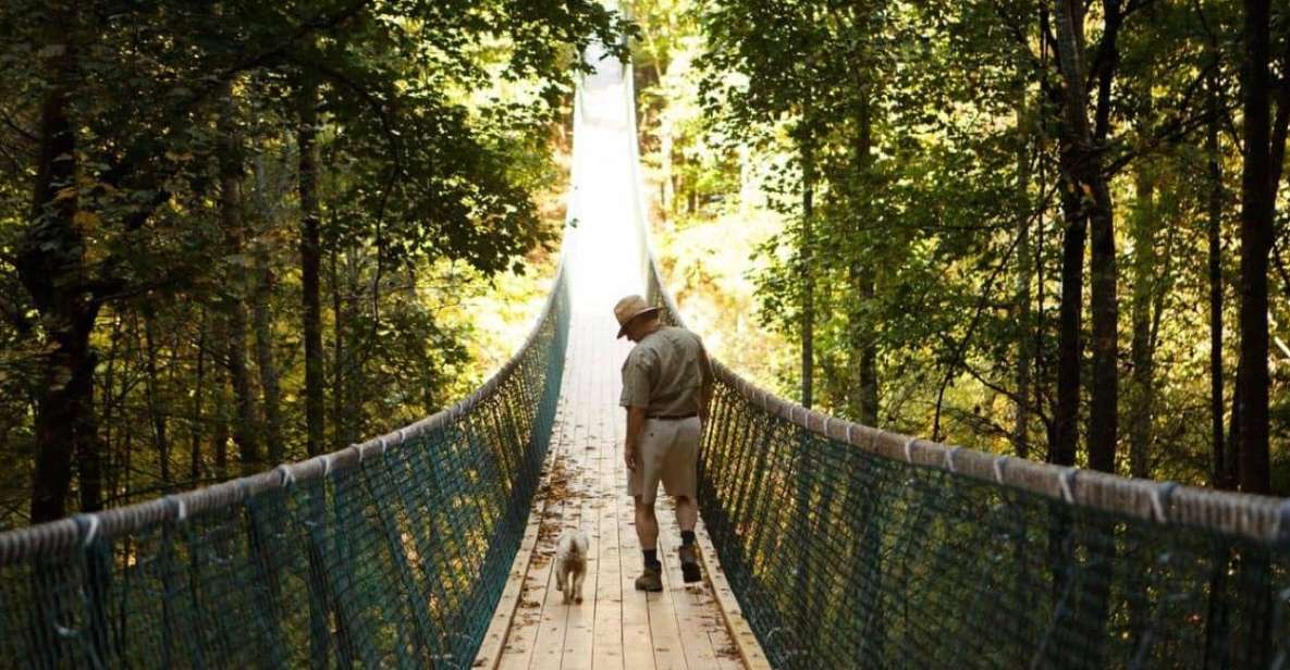 Foxfire Mountain: Hiking & Swinging Bridge Family Adventure - Discover Lost Mine Falls and Furnace