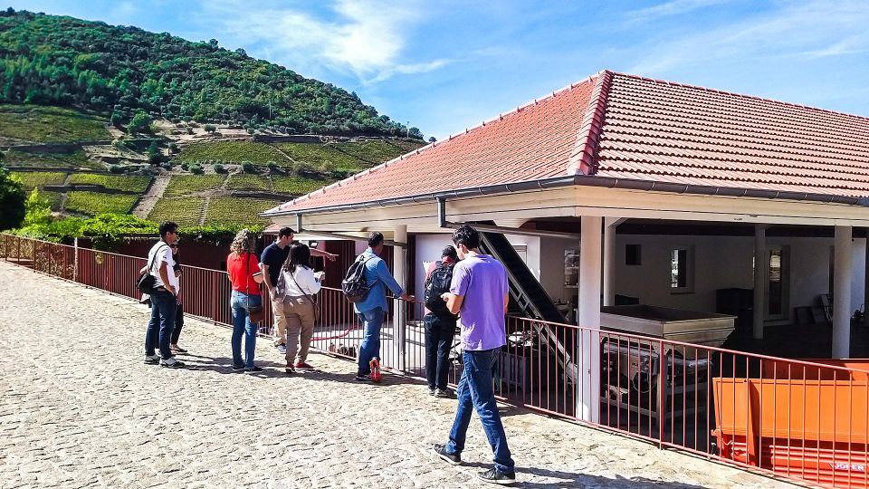 Foz Côa & Douro Private Tour: Rock Carvings and Superb Views - Admire Pinhão Train Station Tiles