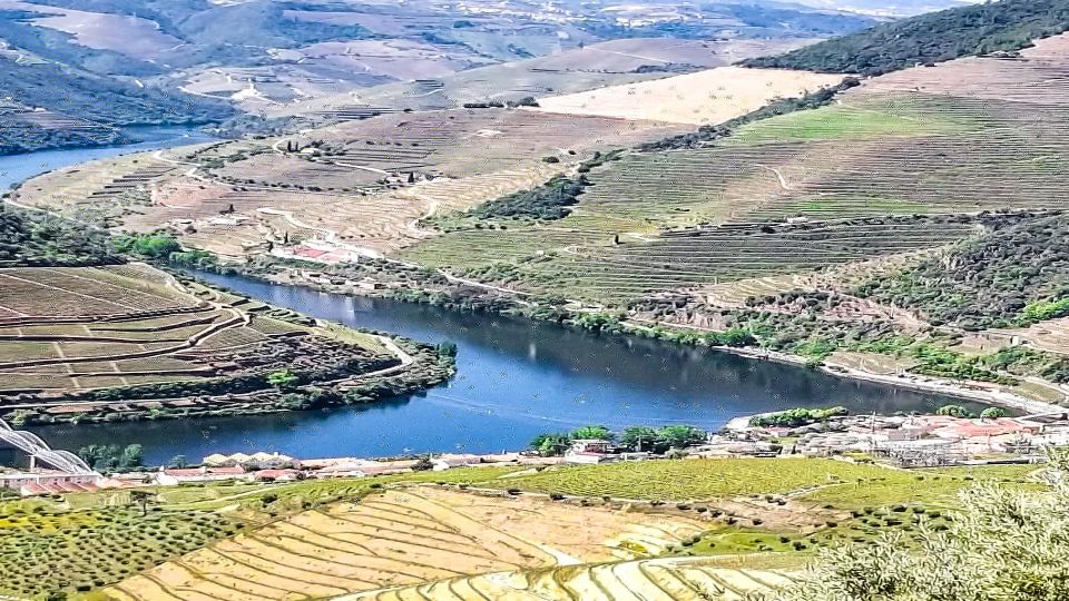 Foz Côa & Douro Private Tour: Rock Carvings and Superb Views - Ponte Metálica De Peso Da Régua