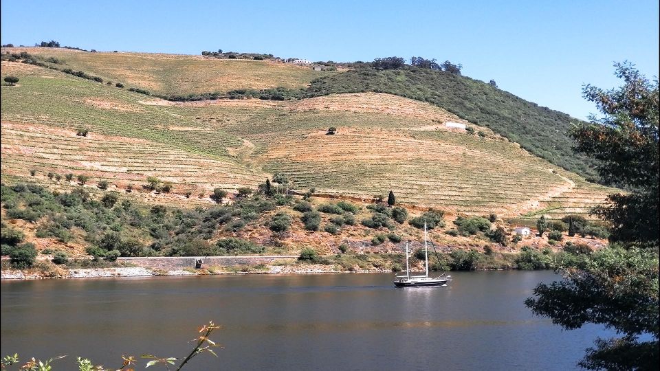 Foz Côa & Douro Private Tour: Rock Carvings and Superb Views - Customizable Tour Inclusions
