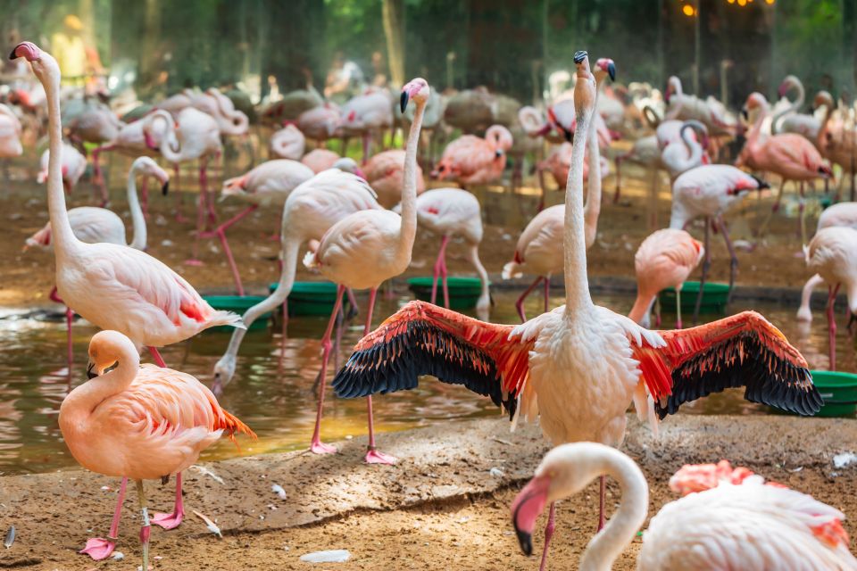 Foz Do Iguaçu: Bird Park Experience - Location and Accessibility