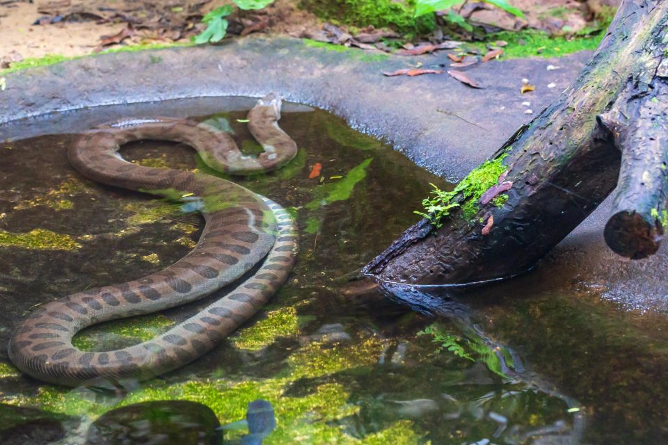Foz Do Iguaçu: Bird Park Experience - Booking and Cancellation Policies