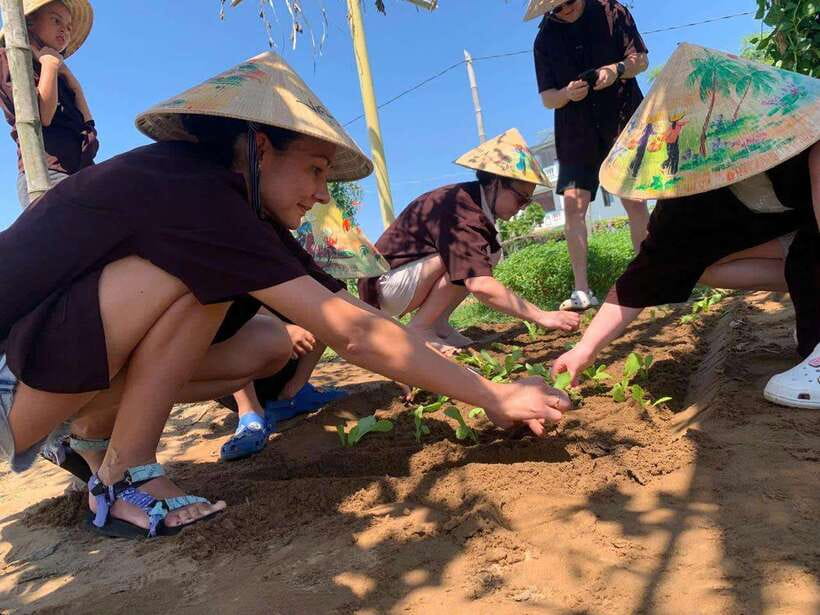FR HOI AN: FARMING & FISHING LIFE BY BIKE - Hands-On Rice Farming Experience