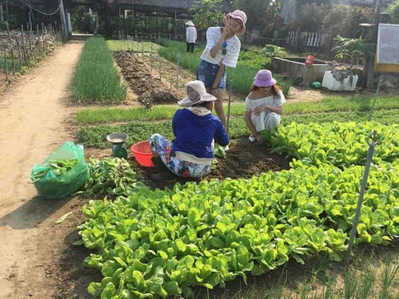 FR HOI AN: FARMING & FISHING LIFE BY BIKE - Enjoying Local Cuisine