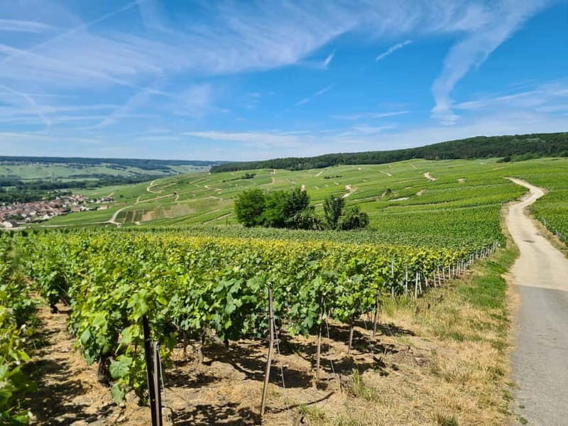 France: Private Wine Tasting Tour with Chauffeur from Paris - Introduction