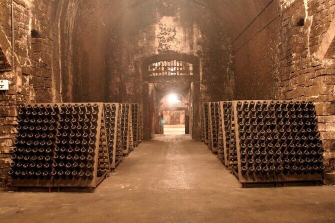 Franciacorta Wine Tasting Tour from Milan with Lake Iseo Cruise - The Sum Up