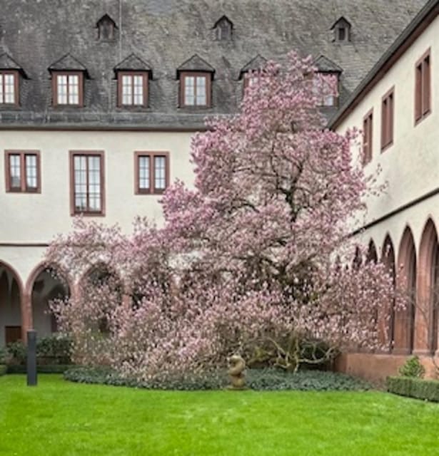 Frankfurt on Foot Daily Walking Tour in English - The Sum Up: Who Will Love This Tour?