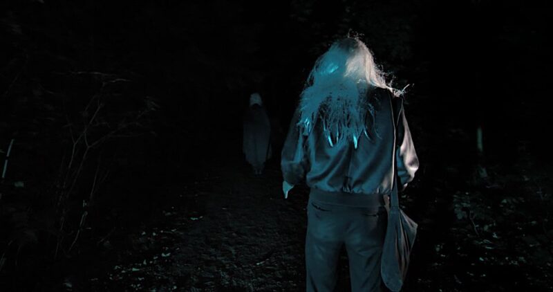 Frankfurt: The Hour of the Vampires Scary Tour - Frequently Asked Questions