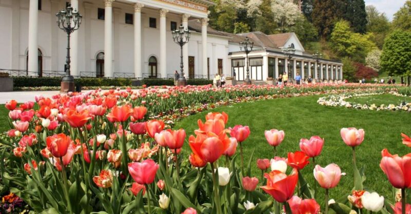 Frankfurt to Black Forest, Baden-Baden, Freiburg and by Car - Transportation and Logistics