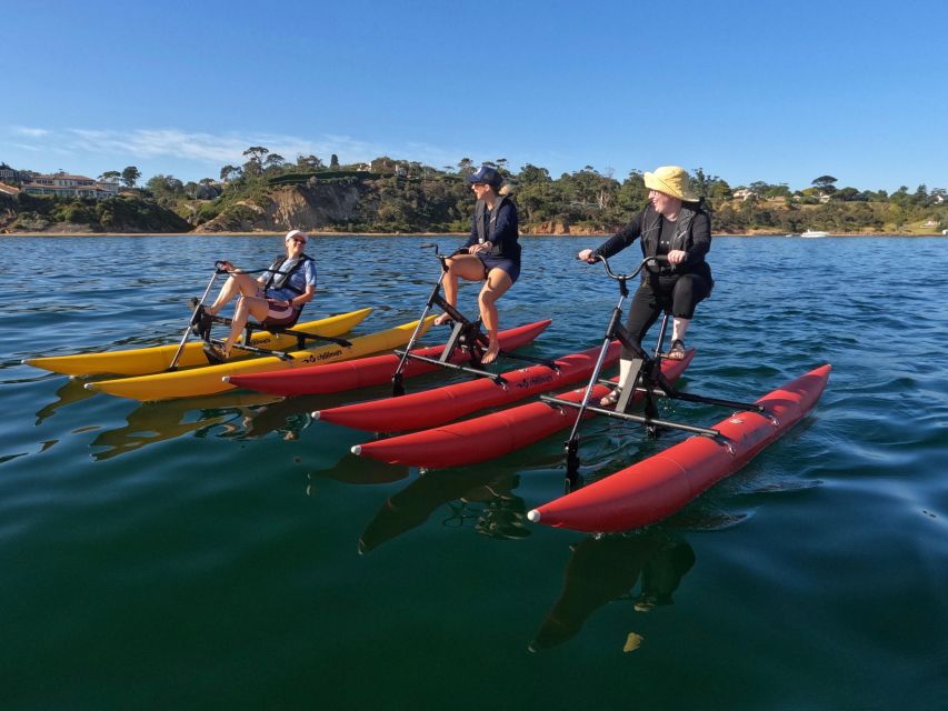 Frankston: Port Phillip Bay Water Bike Tour - Key Points